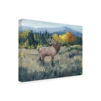 Tim O'Toole 'Rocky Mountain Elk II' vászon művészet