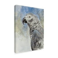 Védjegy Szépművészeti „Bird Head Study” vászon művészete: Rusty Frentner