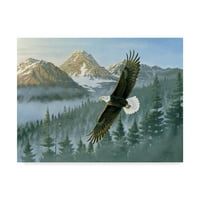 A Wilhelm Goebel „Soaring Eagle” vászonművészeti képzőművészete